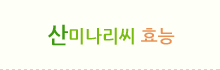 산미나리씨 효능