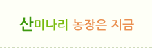 산미나리 농장 갤러리